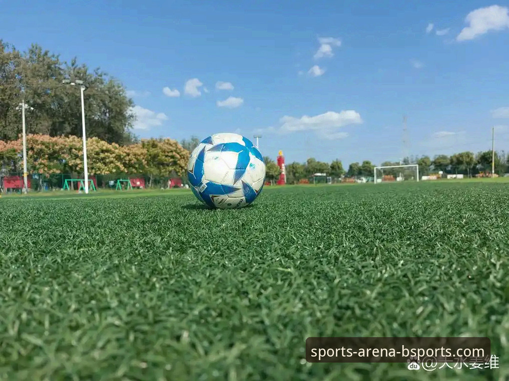 从“金元足球”到法庭审判：一场商业与体育交织的深度评测